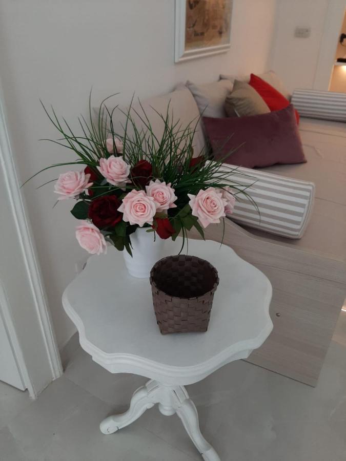 La Vie En Rose - Casa Vacanze Diamante Exteriér fotografie